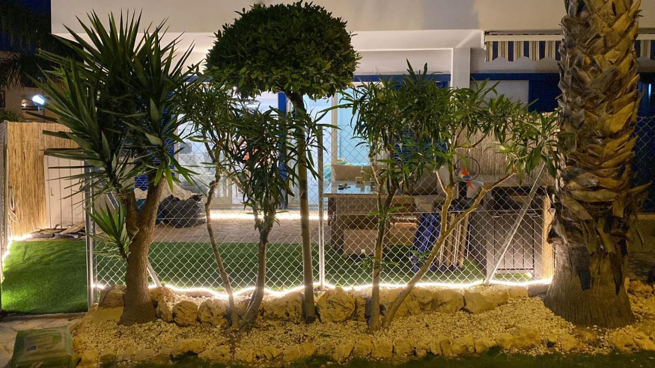 Apartment Palmas De Coco Playa Flamenca Dış mekan fotoğraf